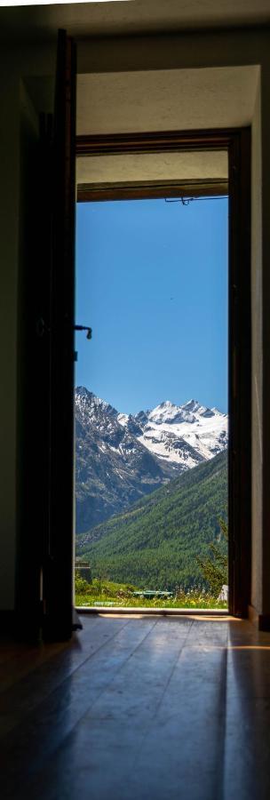 Appartement Nido delle aquile à Cogne Extérieur photo